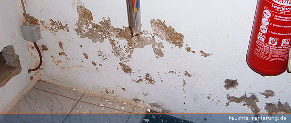 Putzschäden durch aufsteigende Feuchtigkeit an einer neu verputzten Innenwand.